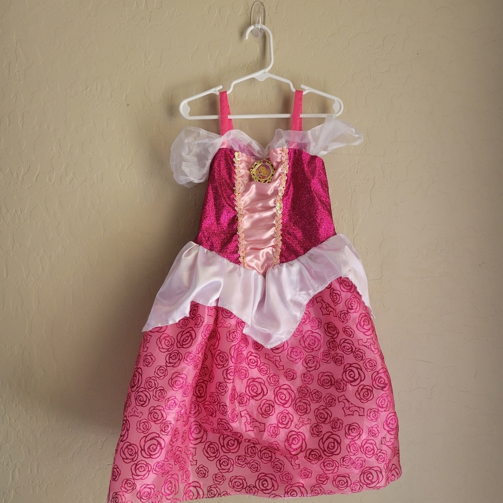 Size 4-6x Sleeping Beauty Costume